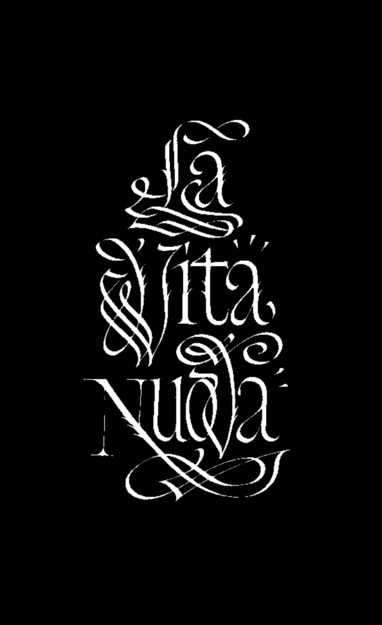 Poster of La vita nuova