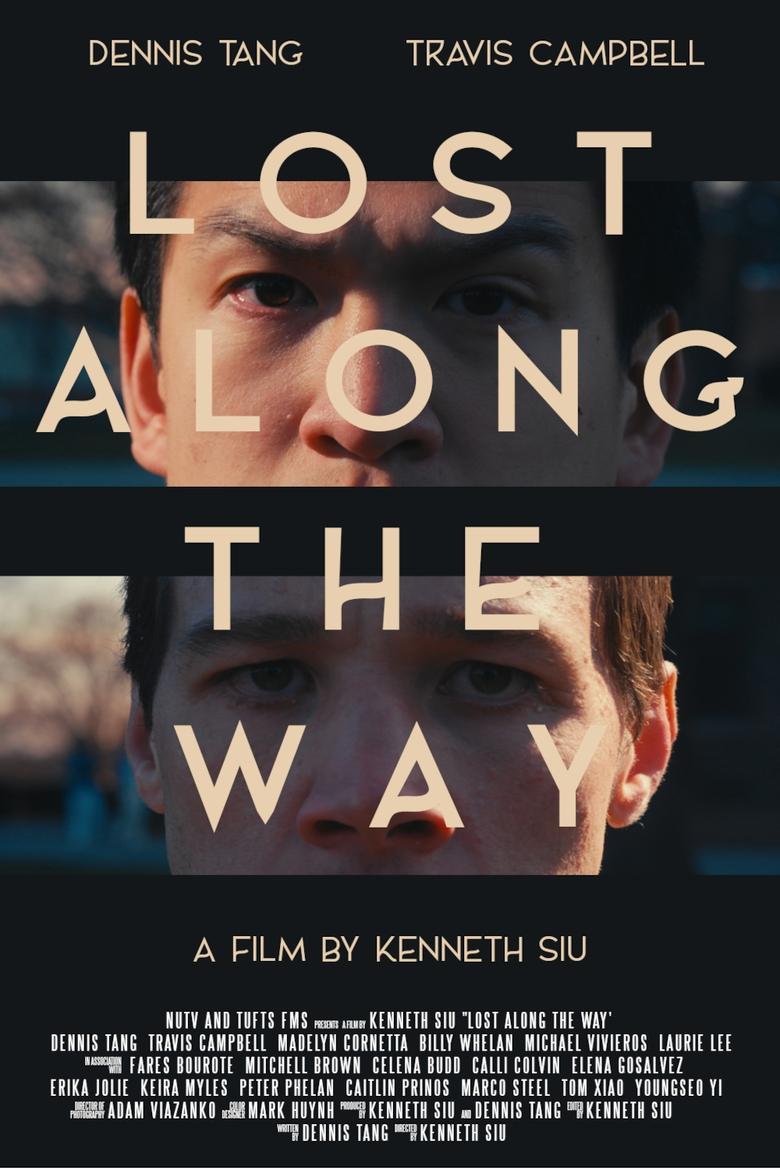 Poster of Lost Along the Way