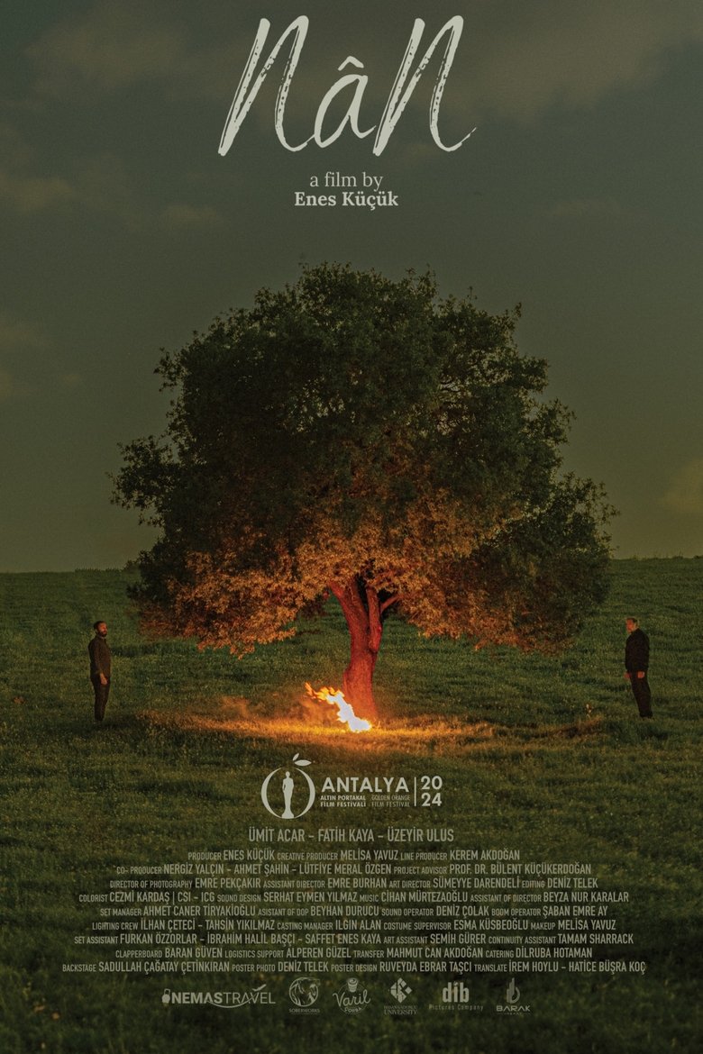Poster of NâN