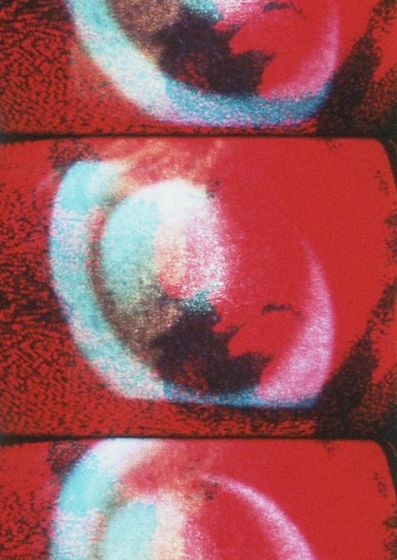 Poster of Video Self-Portrait
