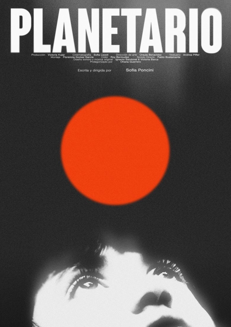Poster of Planetario
