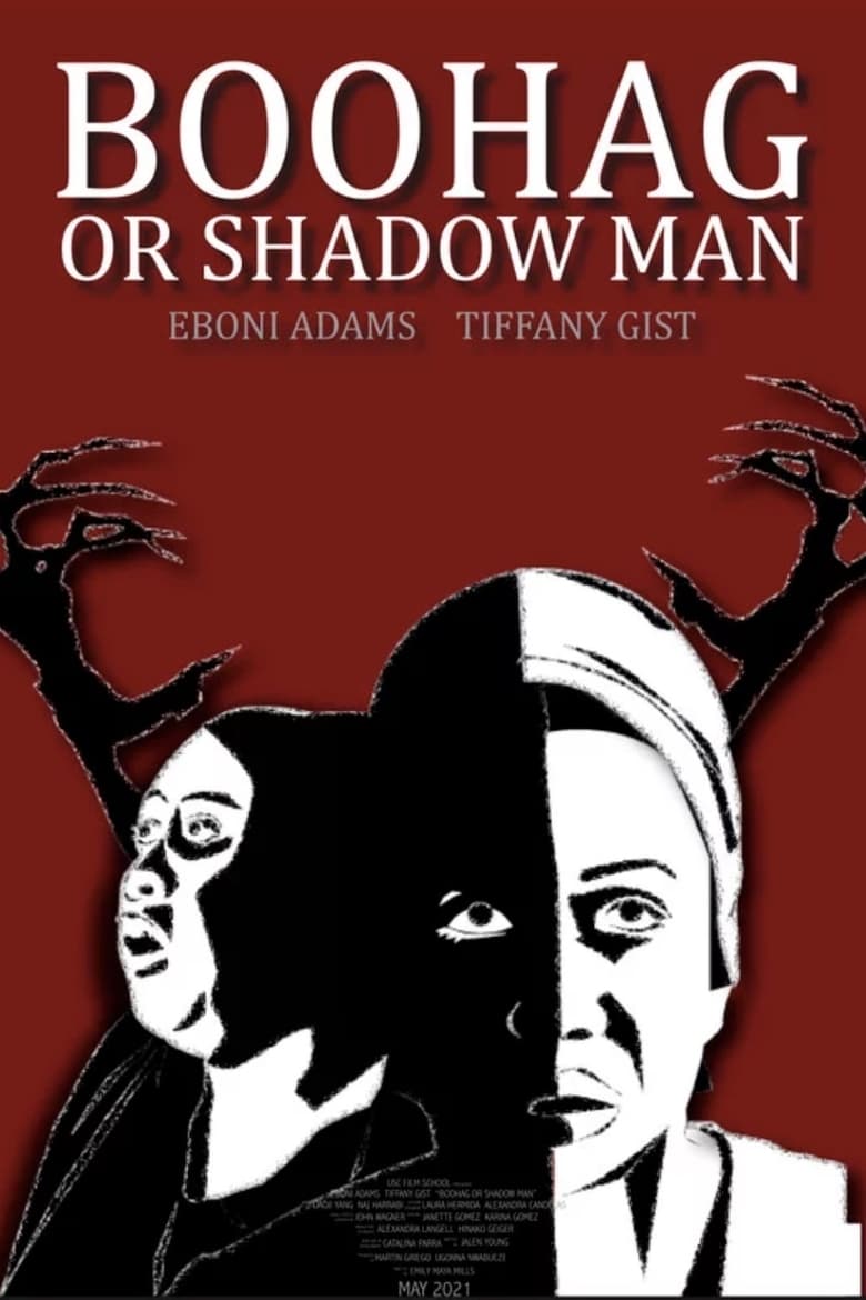 Poster of Boo Hag or Shadow Man