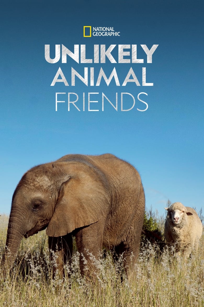 Poster of Unlikely Animal Friends