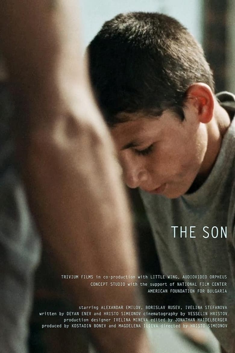 Poster of The Son