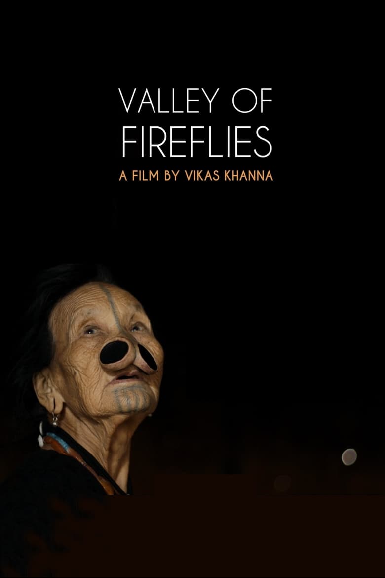 Poster of Valley of Fireflies