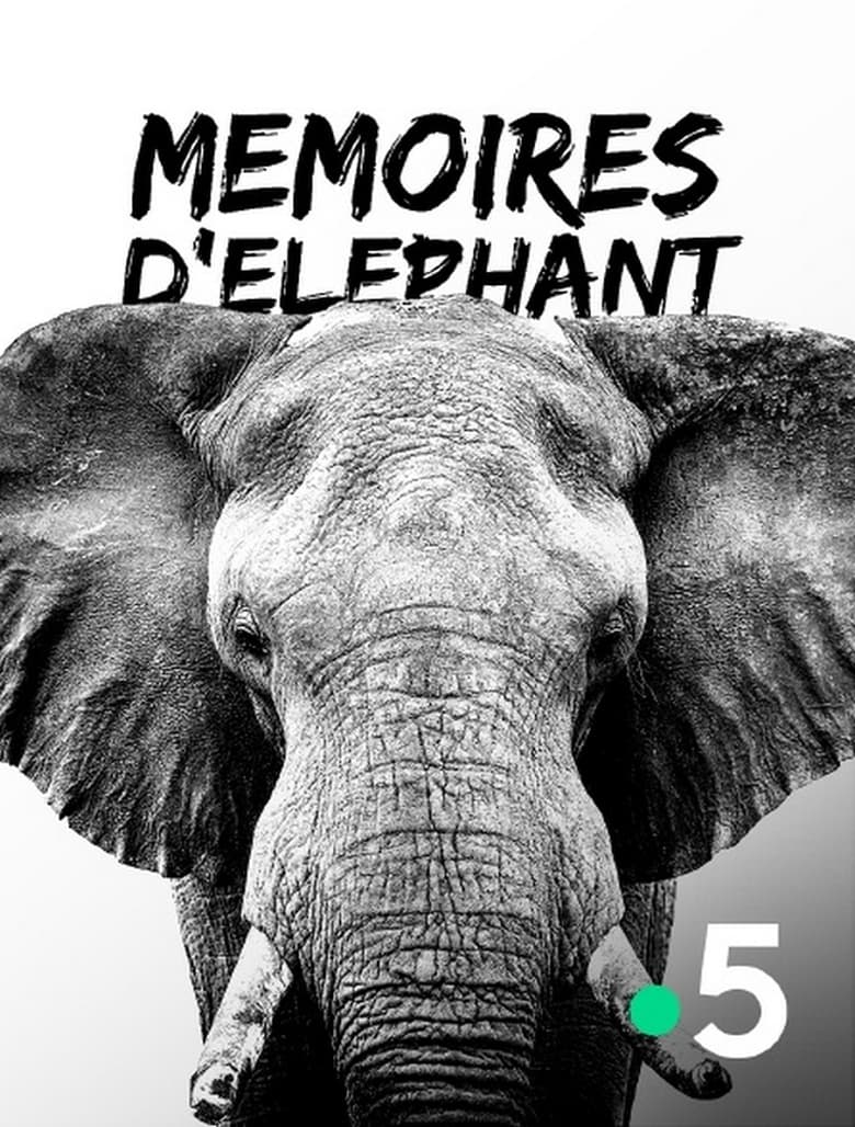 Poster of Mémoires d'éléphant