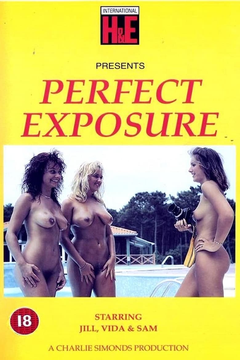 Poster of Perfect Exposure