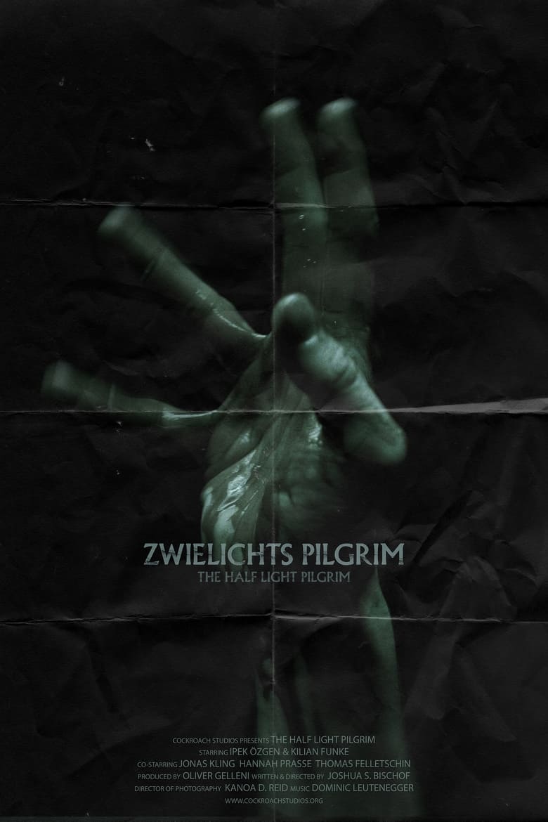 Poster of The Half Light Pilgrim