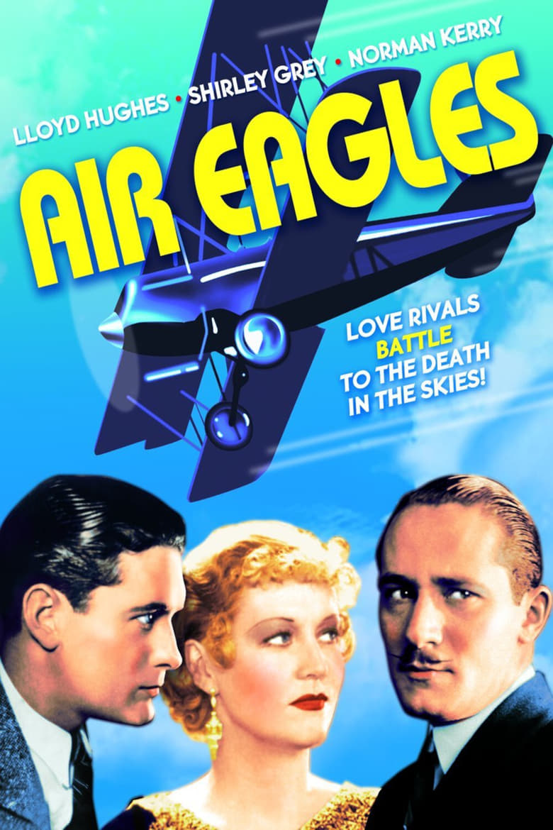 Poster of Air Eagles