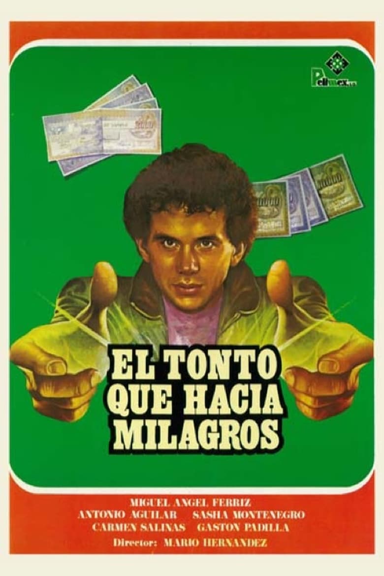 Poster of El tonto que hacía milagros