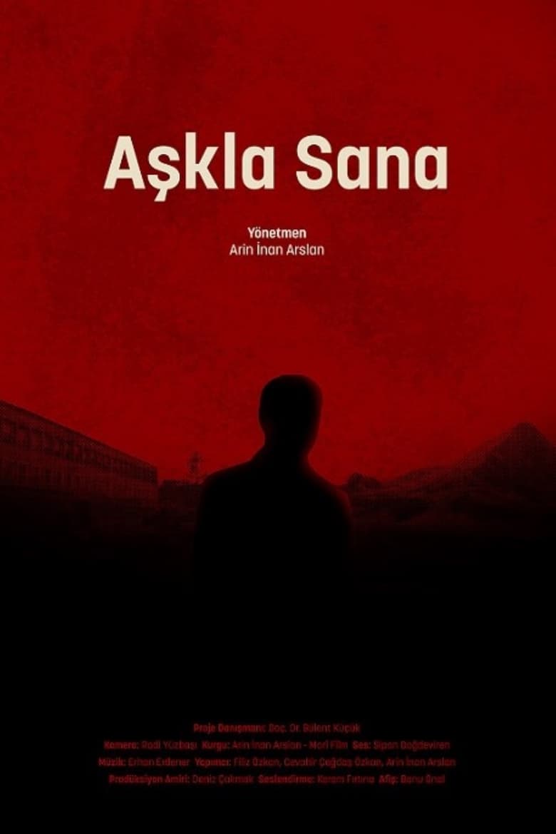 Poster of Aşkla Sana