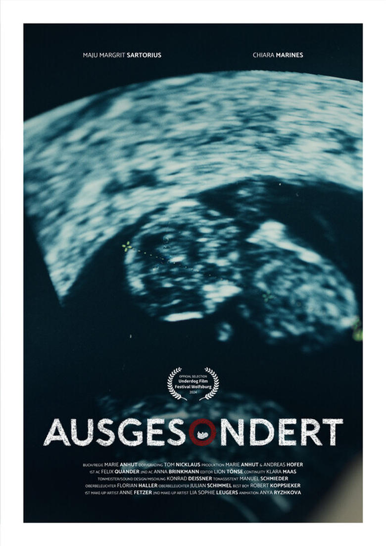 Poster of Screened Out