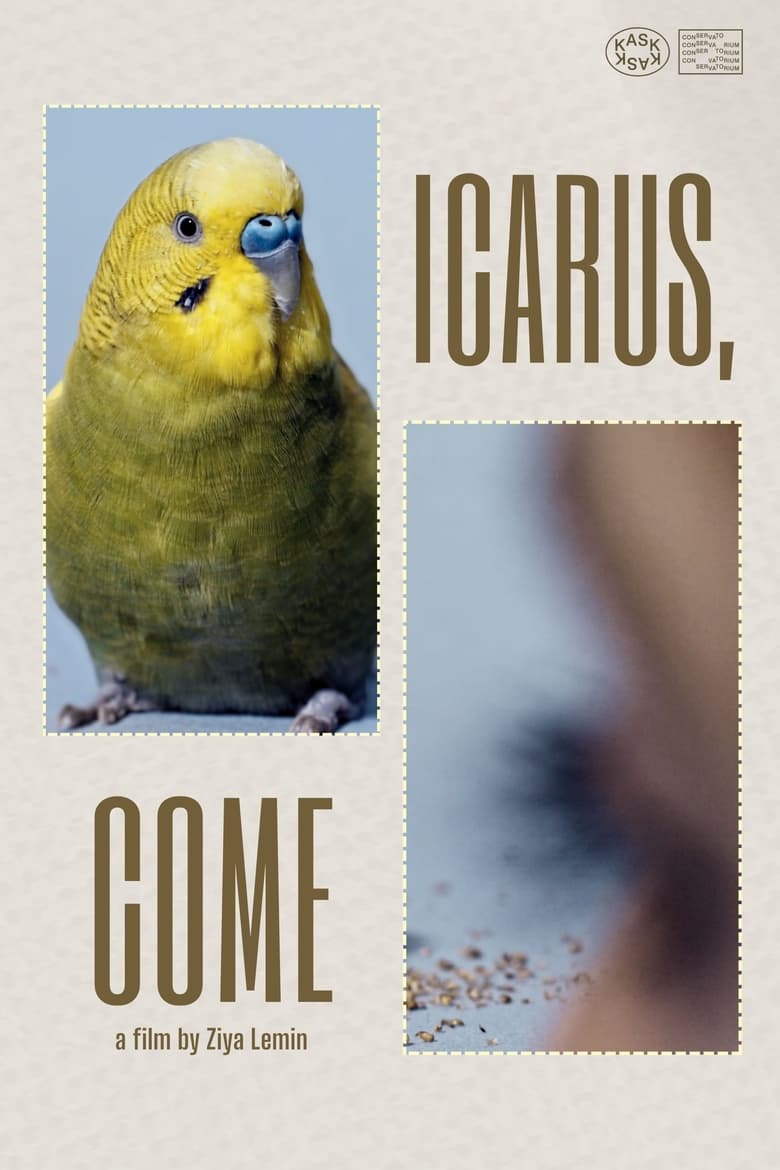 Poster of Icarus, Come