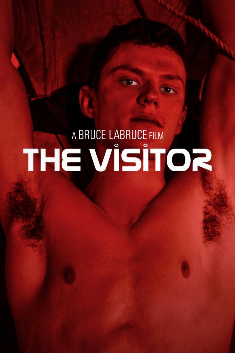 Poster of The Visitor