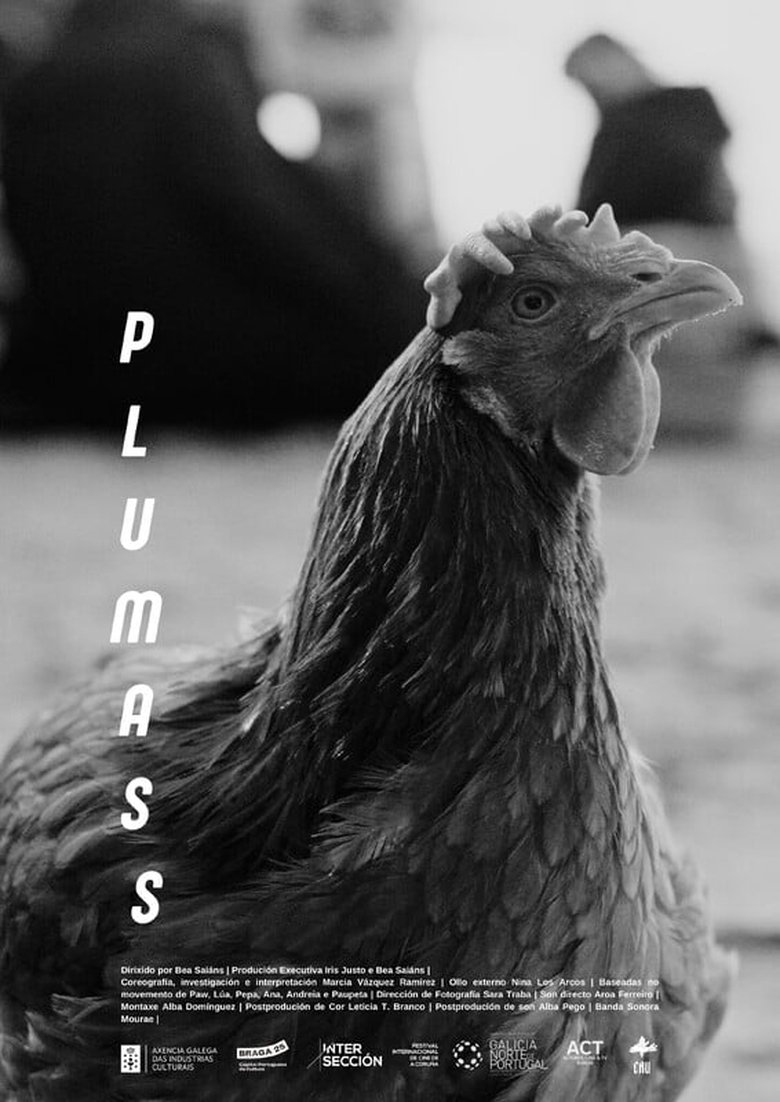 Poster of Plumass