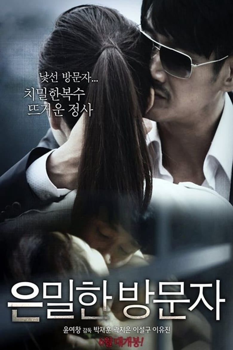 Poster of Secret Visitor