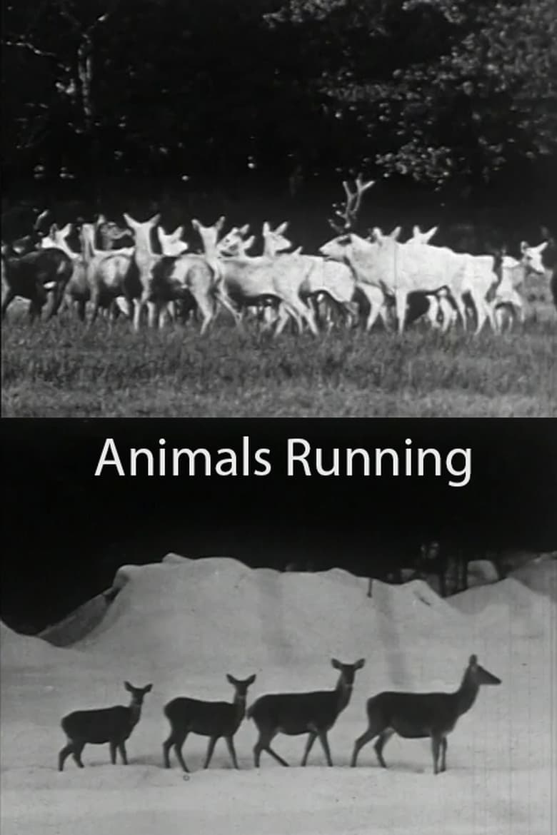 Poster of Animals Running