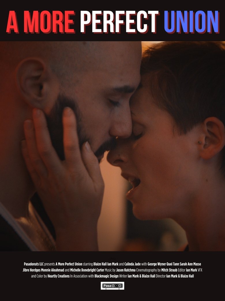 Poster of A More Perfect Union