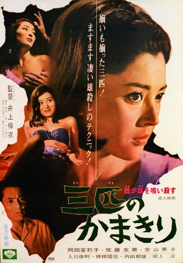 Poster of The Stronger Sex
