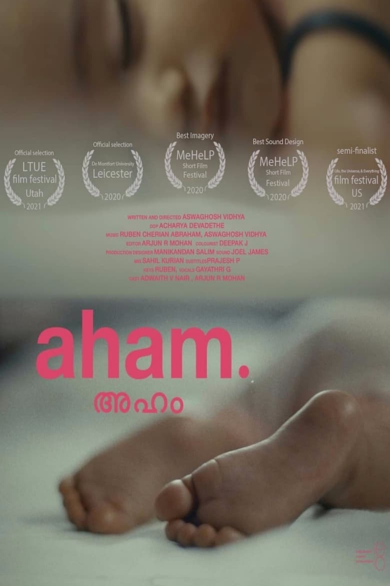 Poster of Aham