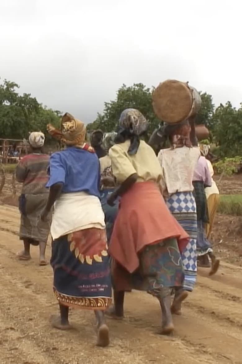 Poster of If Vagina Had Teeth: The Shona Rainmaking Ceremony in Western Mozambique