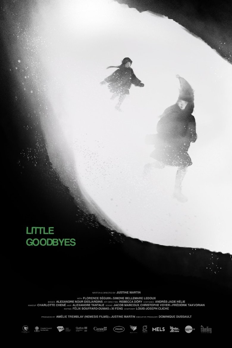 Poster of Little Goodbyes