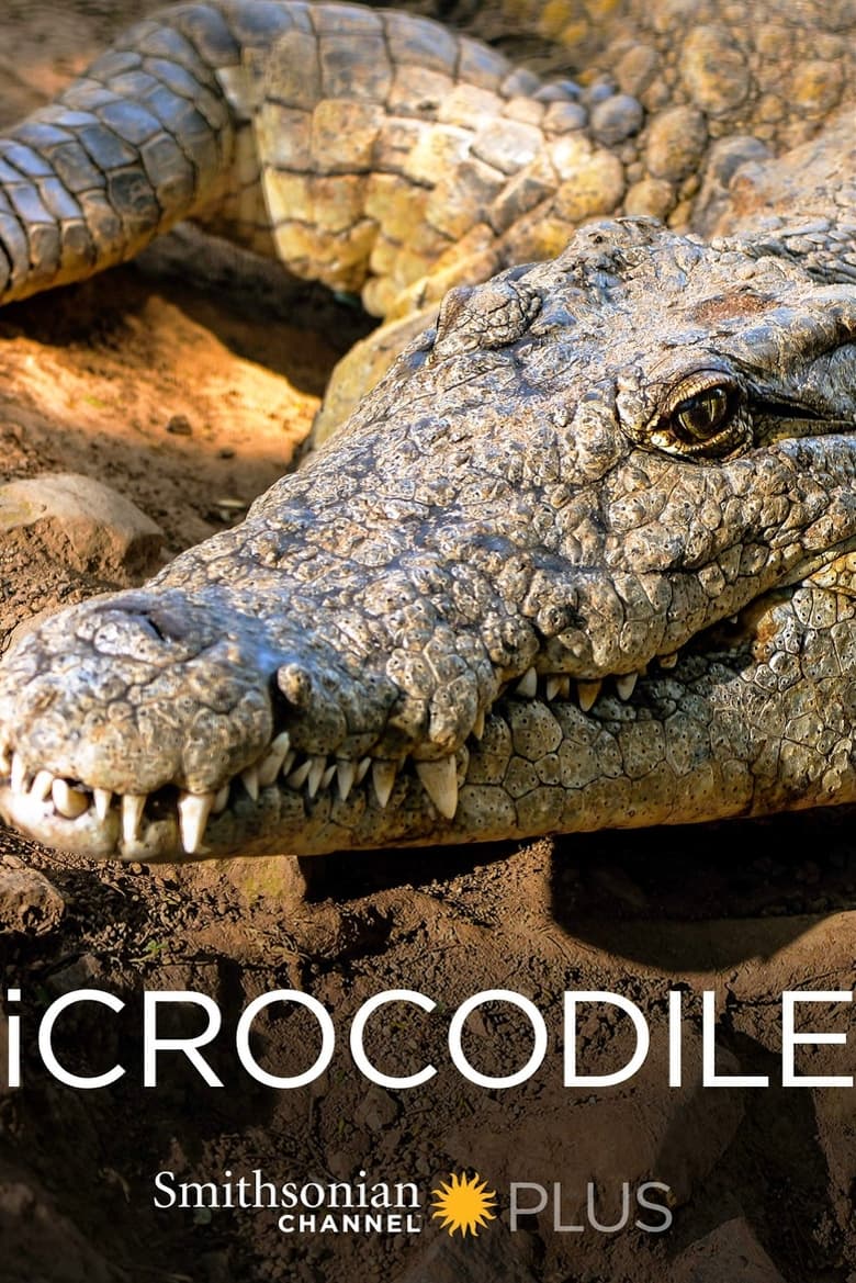 Poster of iCrocodile