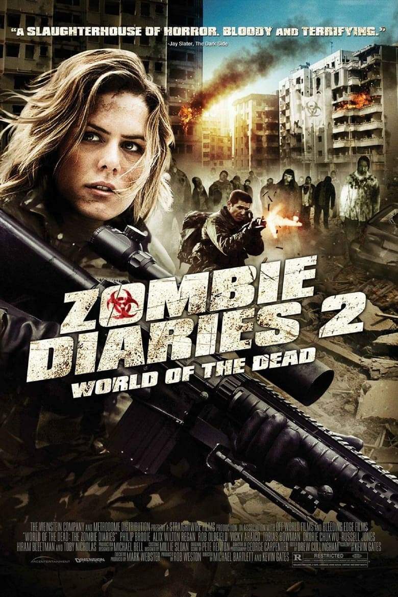 Poster of The Zombie Diaries 2