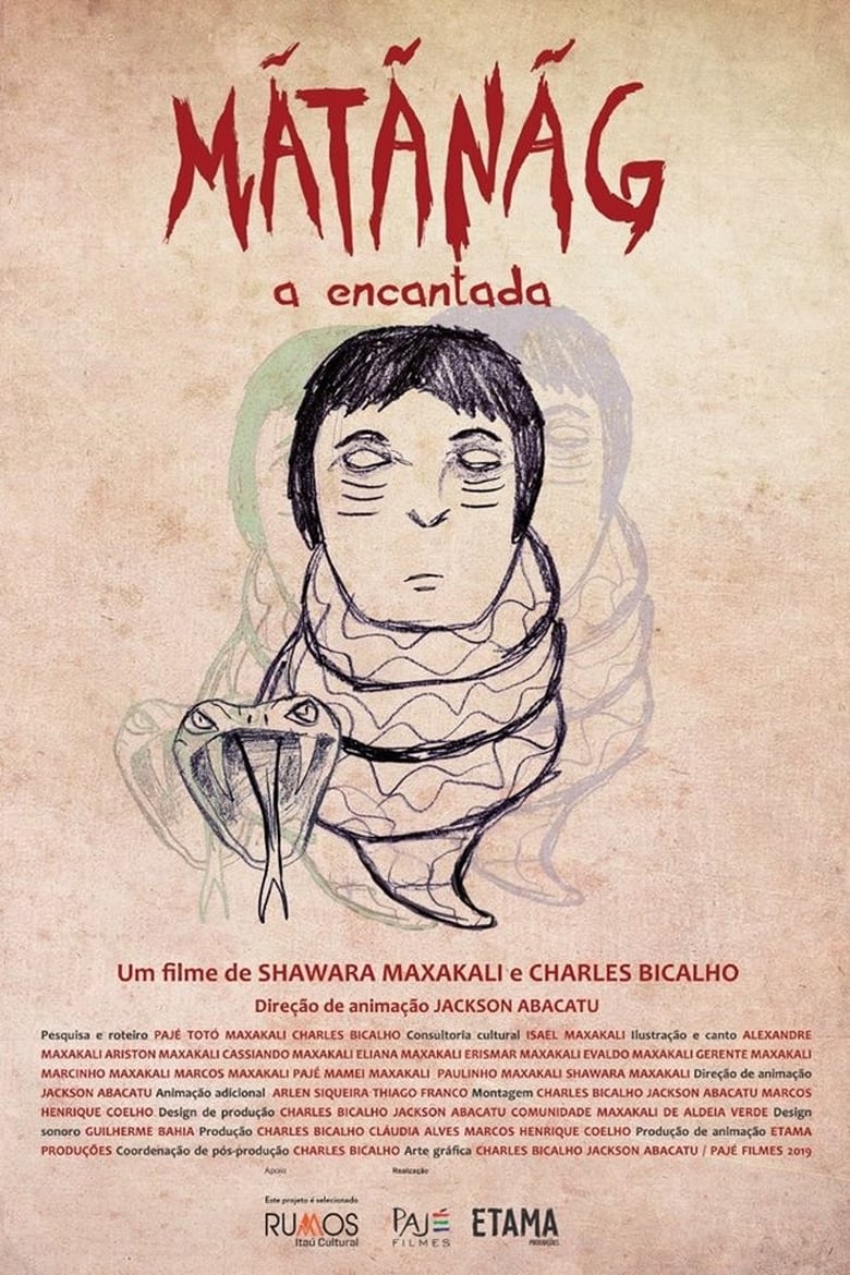 Poster of Mãtãnãg, a Encantada