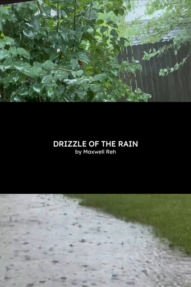 Poster of Drizzle of the Rain