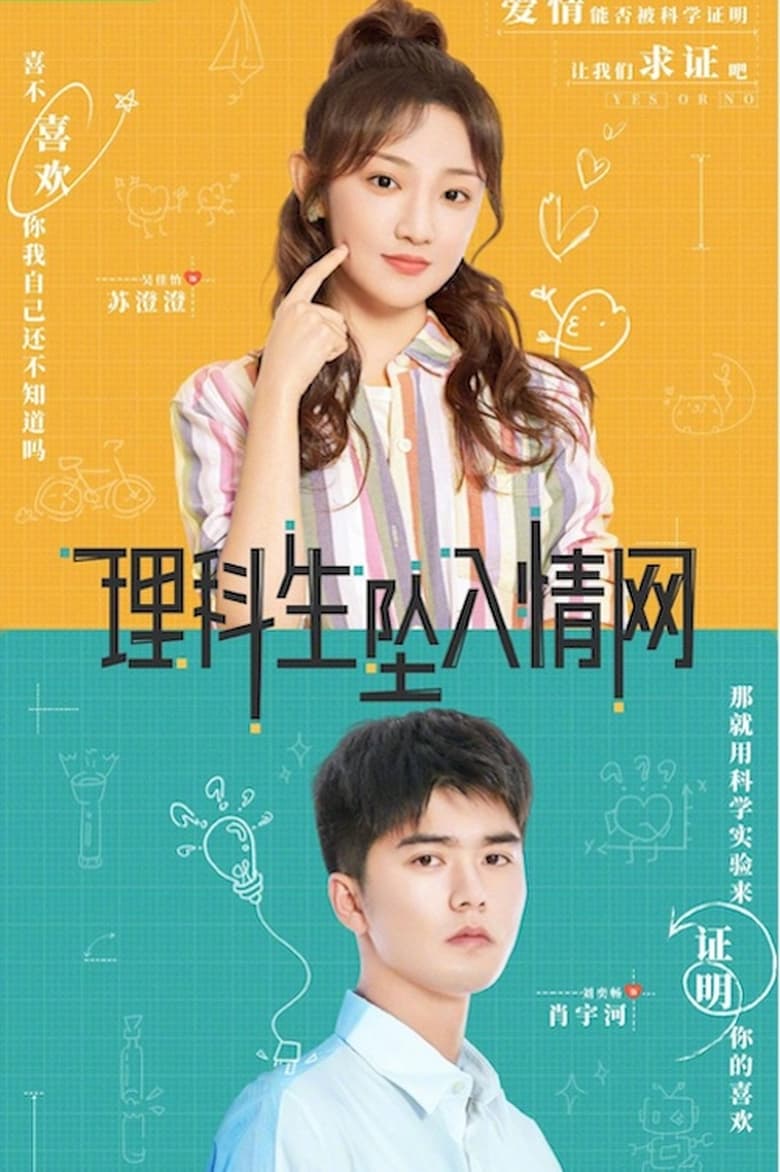 Poster of The Science of Falling in Love