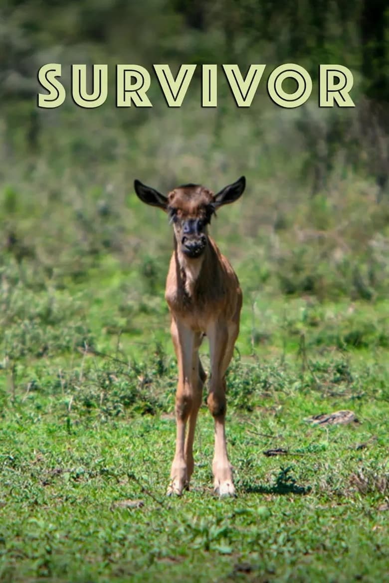 Poster of Survivor