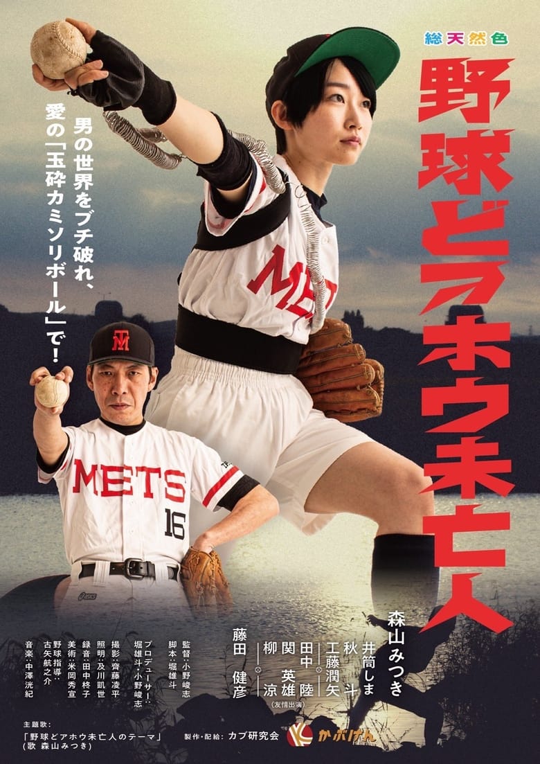 Poster of Baseball Idiot Widow