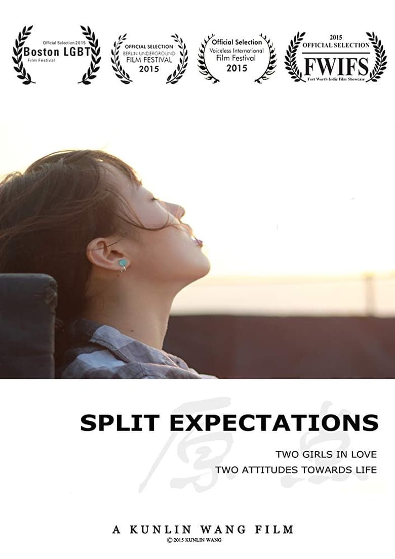 Poster of Split Expectations