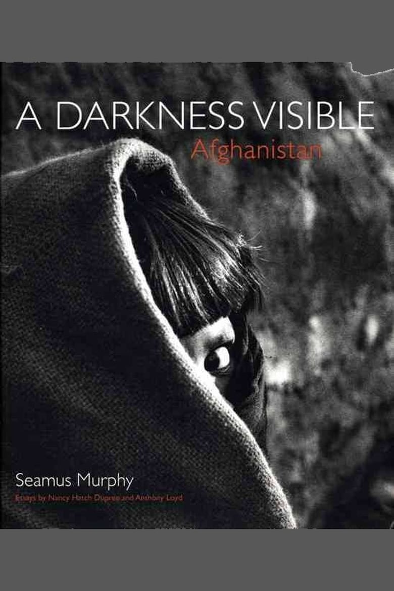 Poster of A Darkness Visable: Afghanistan