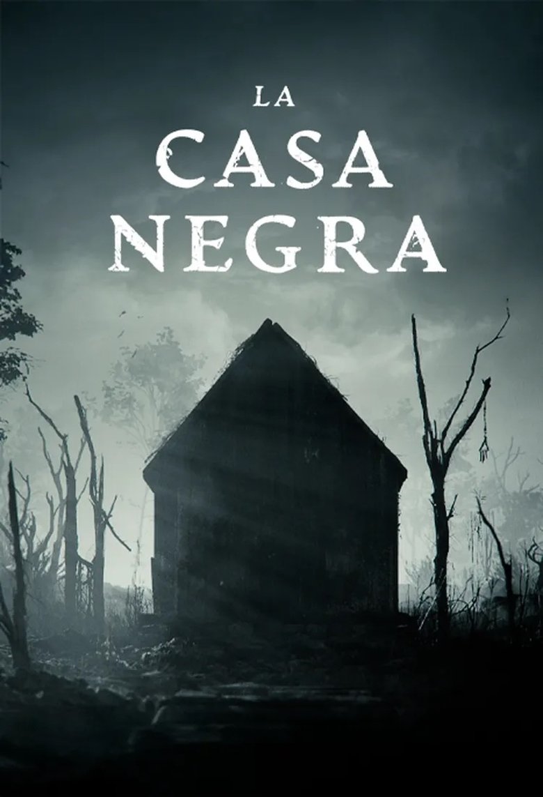 Poster of La casa negra