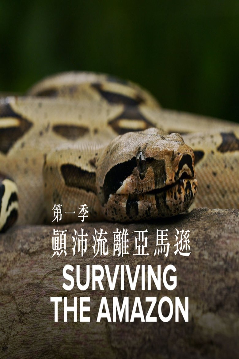 Poster of Surviving the Amazon
