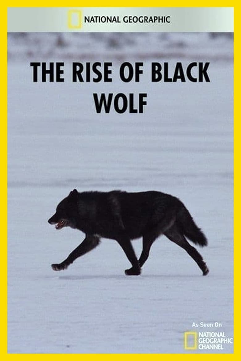 Poster of The Rise of Black Wolf