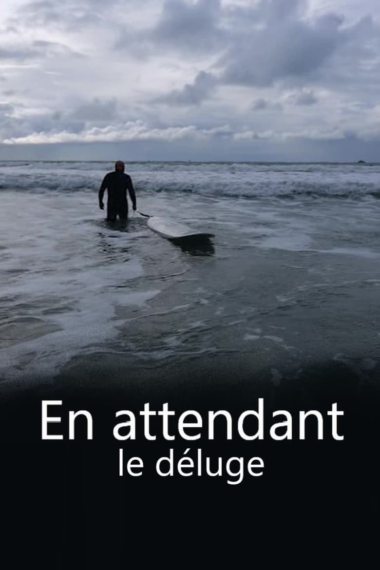 Poster of En attendant le déluge