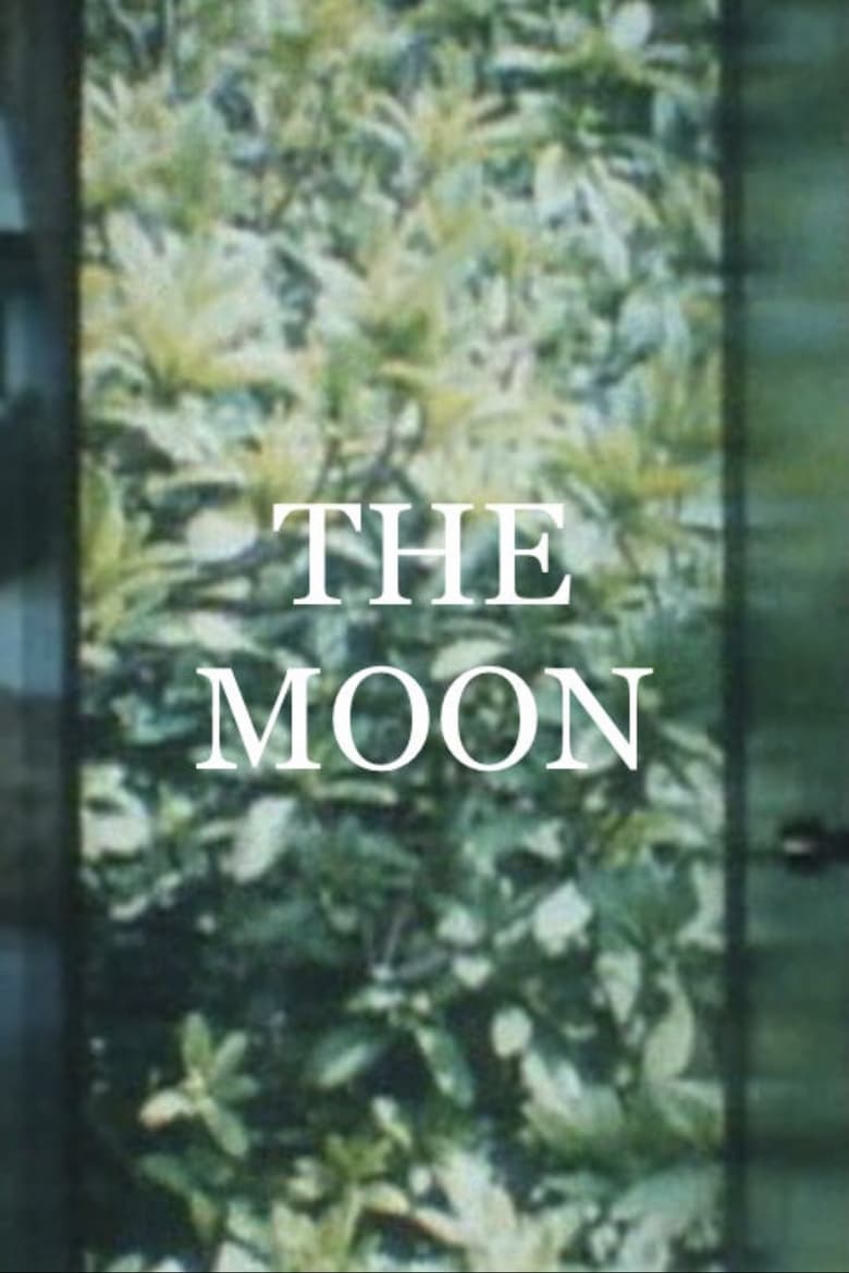 Poster of The Moon