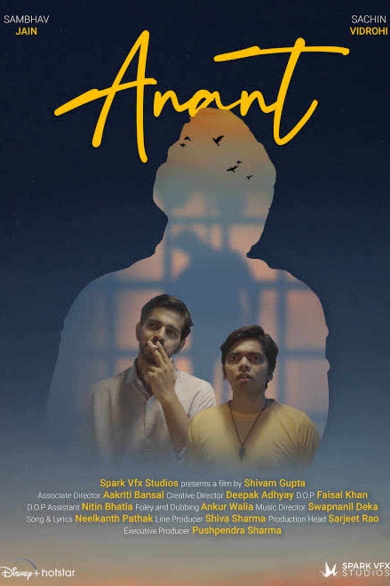 Poster of Anant - A Journey Towards The End