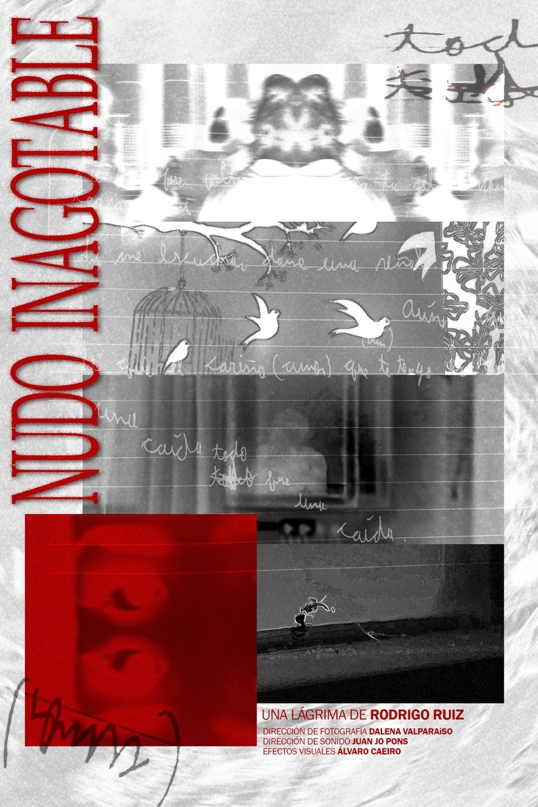 Poster of Nudo Inagotable