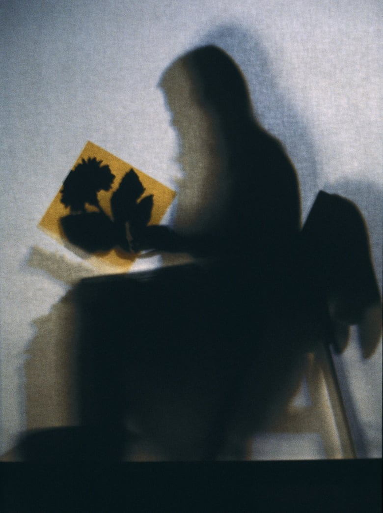 Poster of Lourdes Castro Shadows