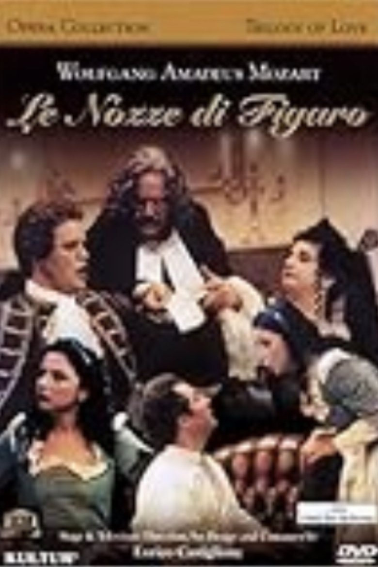Poster of The Weddings of Figaro