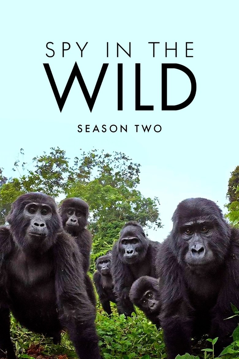 Poster of Episodes in Spy In The Wild - Season 2 - Season 2
