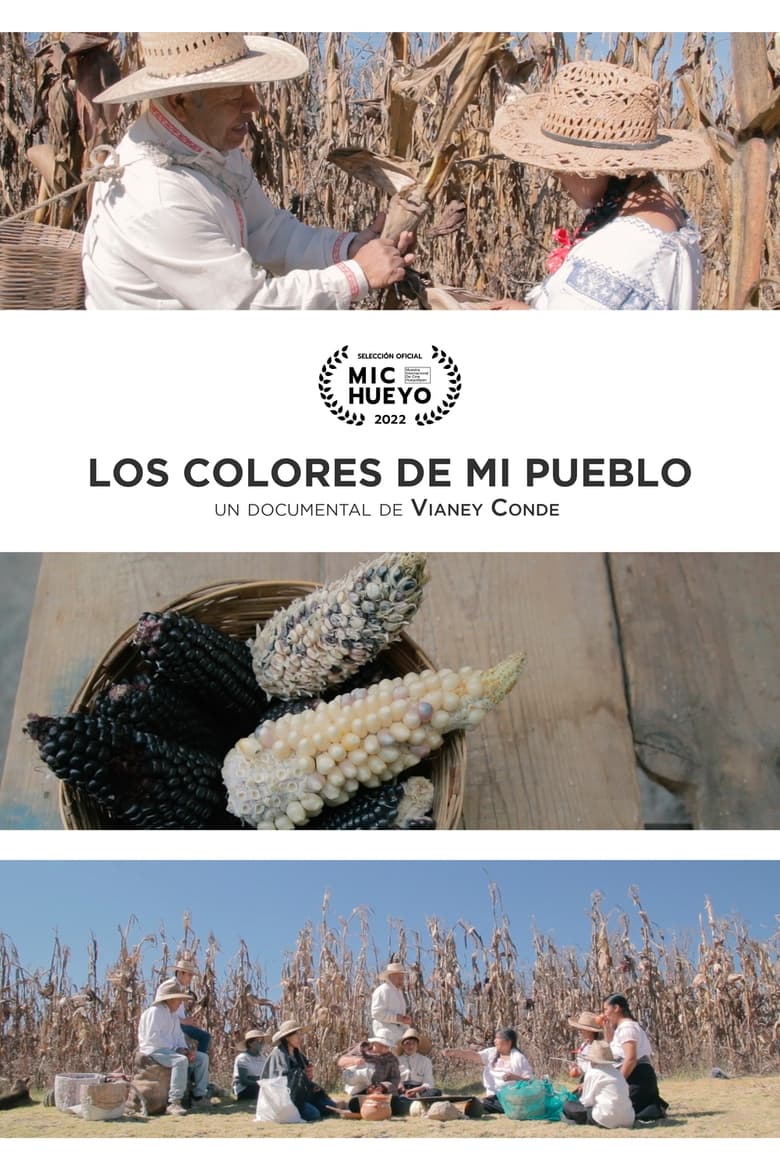 Poster of Los colores de mi pueblo