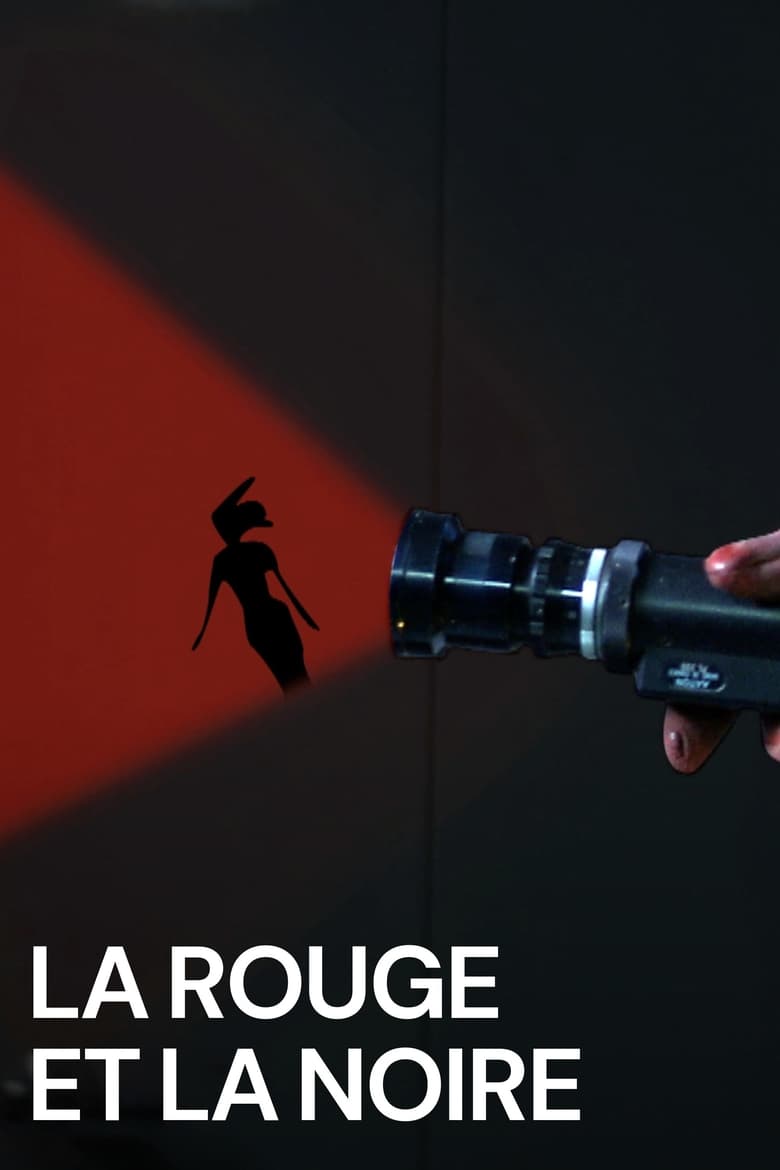 Poster of La rouge et la noire