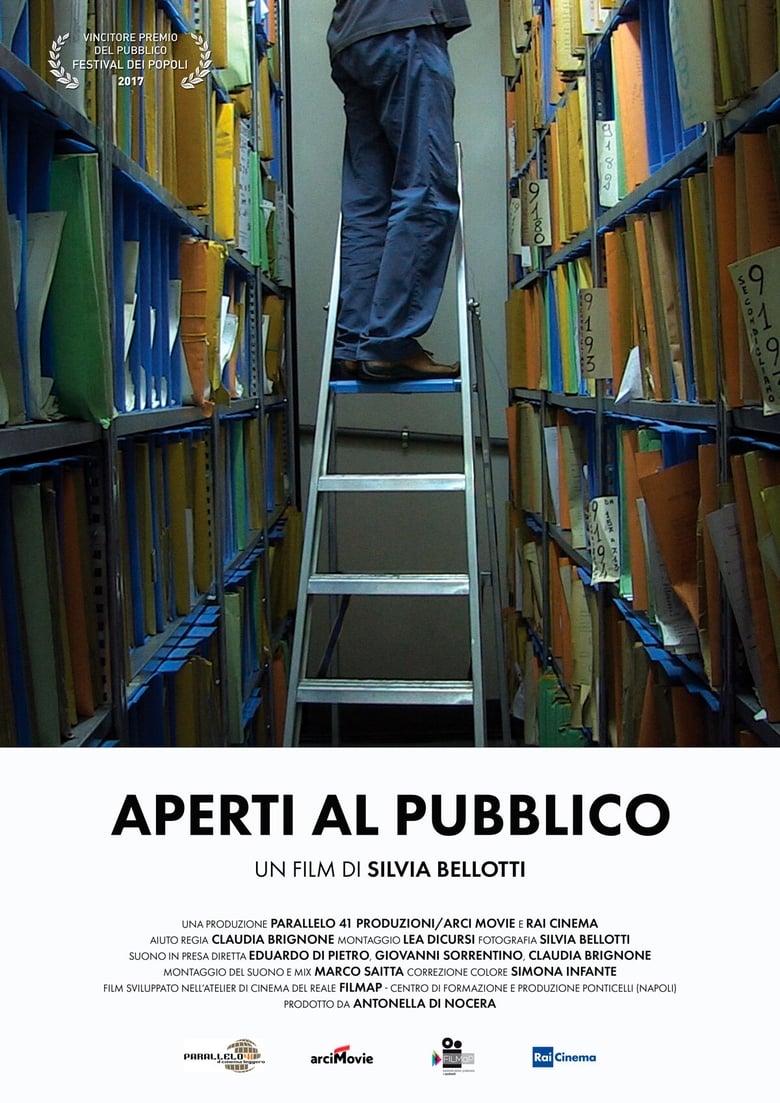 Poster of Open to the Public