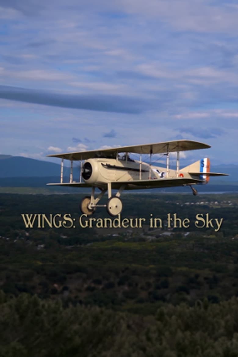 Poster of Wings: Grandeur in the Sky