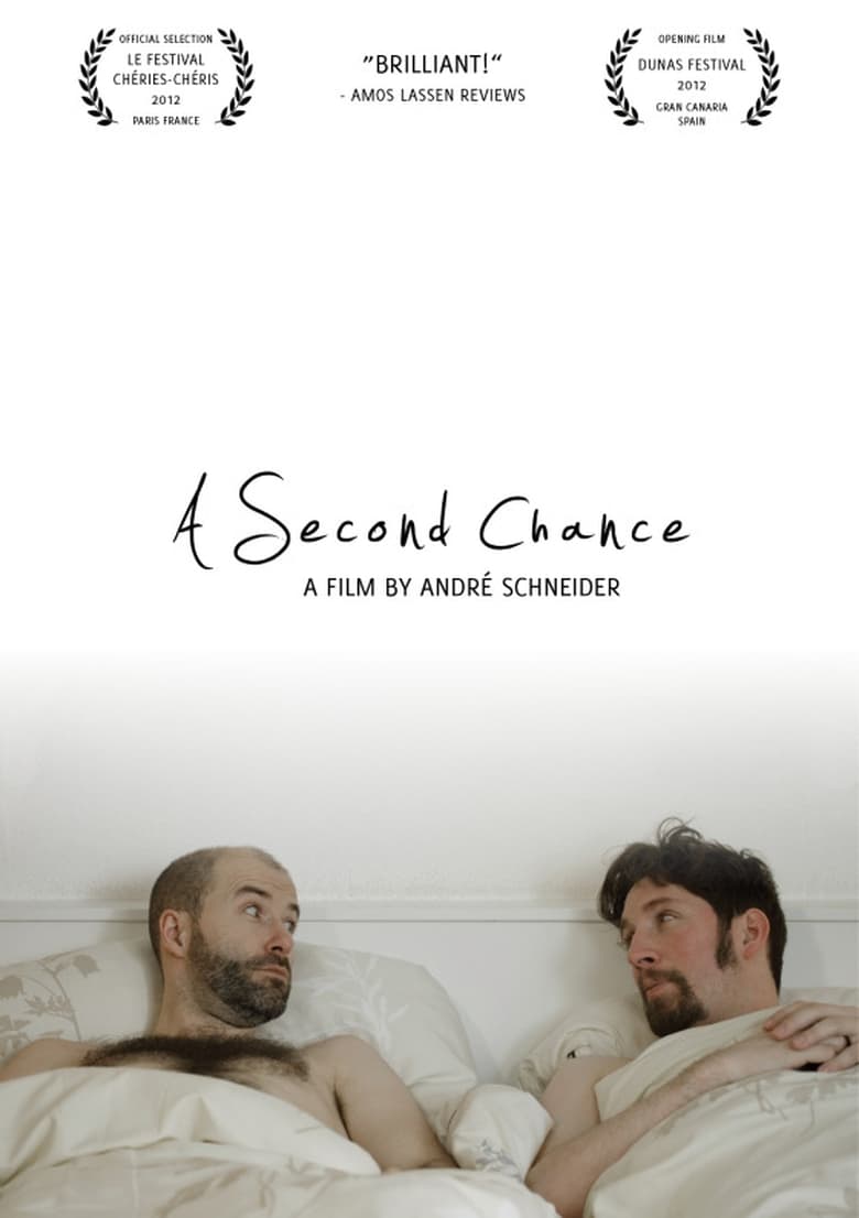 Poster of A Second Chance